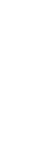 料理を引き立てる